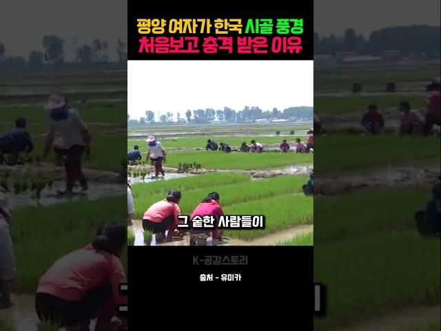 평양 여자가 한국 시골 풍경 처음보고 충격