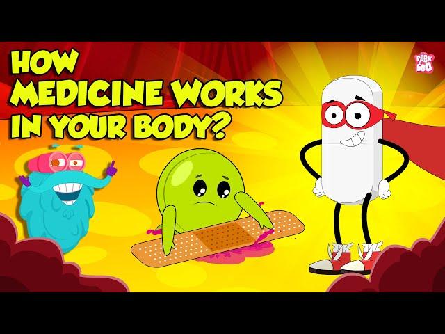 How Medicine Works in Human Body? | How Your Body Process Medicine? | The Dr. Binocs Show