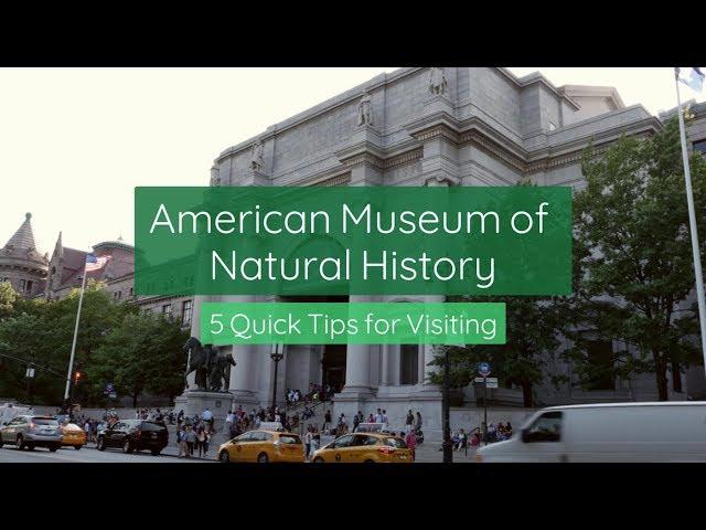 American Museum of Natural History: 5 Quick Tips for Visiting