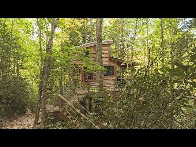 Treehouses provide unique getaway in the Red RIver Gorge