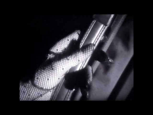 BAUHAUS -She's In Parties [Official Video] HD