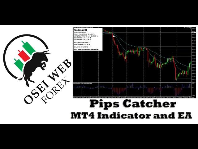 Pips Catcher Indicator and EA (Trend and Scalping)