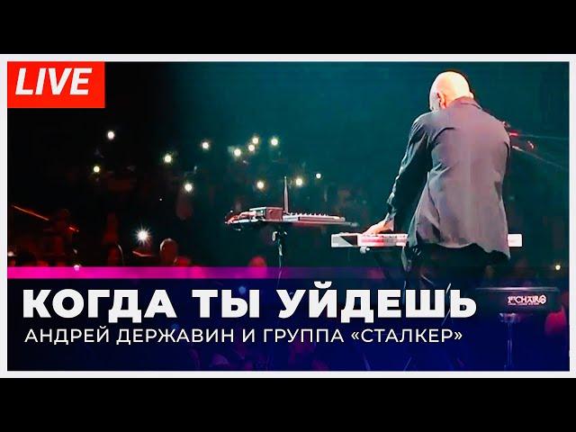 Андрей Державин - Когда ты уйдешь (live Екатеринбург)