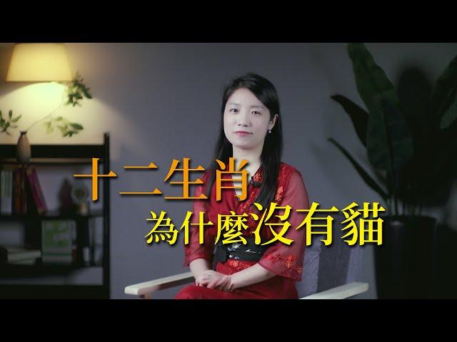 十二生肖為什麼沒有貓？這才是真正的答案！