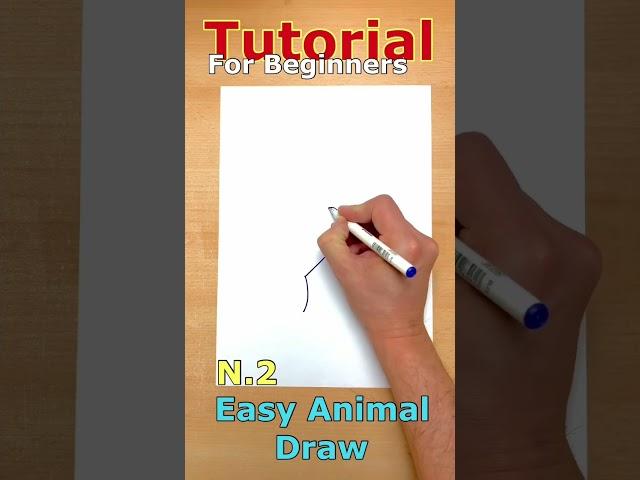 Zeichnen lernen für Anfänger Drawing for beginners