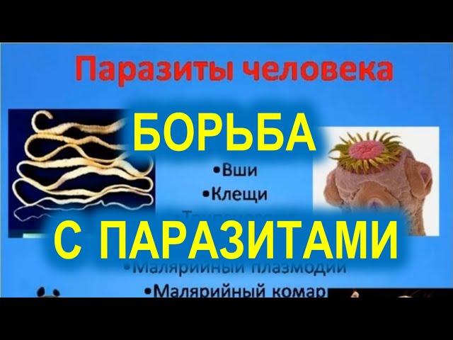 Врач-иммунолог Геннадий Кулеша о борьбе с паразитами с помощью леденцов APL
