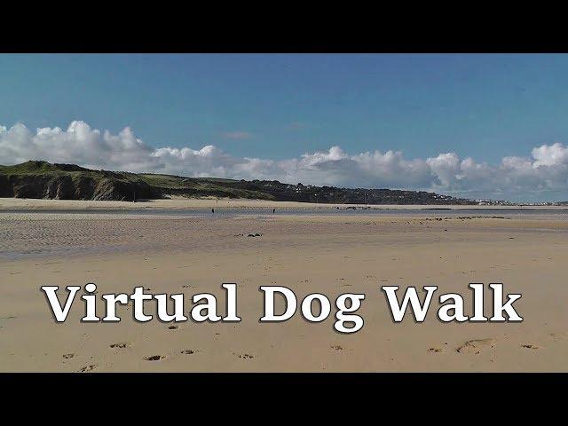 TV for Dogs : Virtual Dog Walk TV - Hayle to Hayle Beach