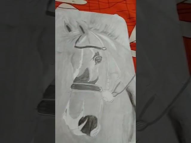 /Horse Drawing/ Ayush Drawing/