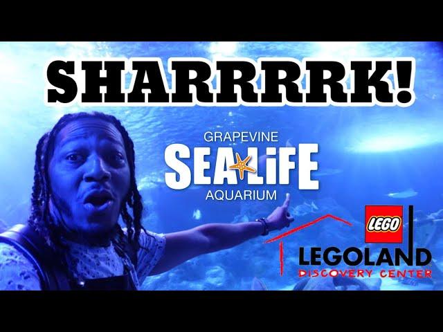 Sea Life & Legoland Discovery Center in Dallas/Grapevine TEXAS 2022