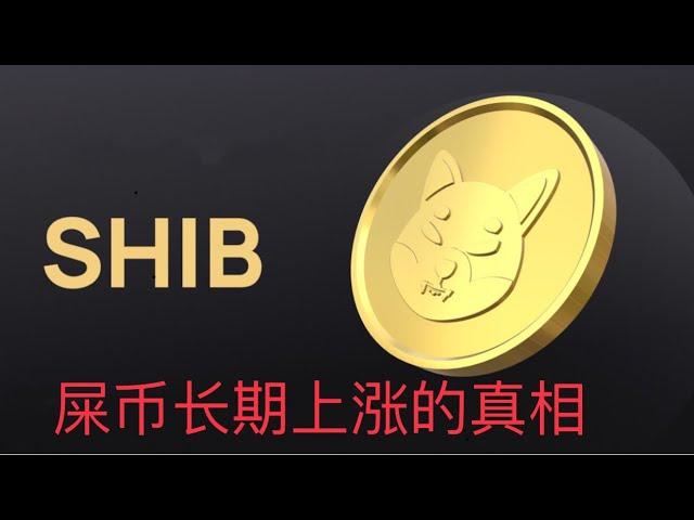 屎币SHIB价格长期会不断上涨的真相（吐血干货）