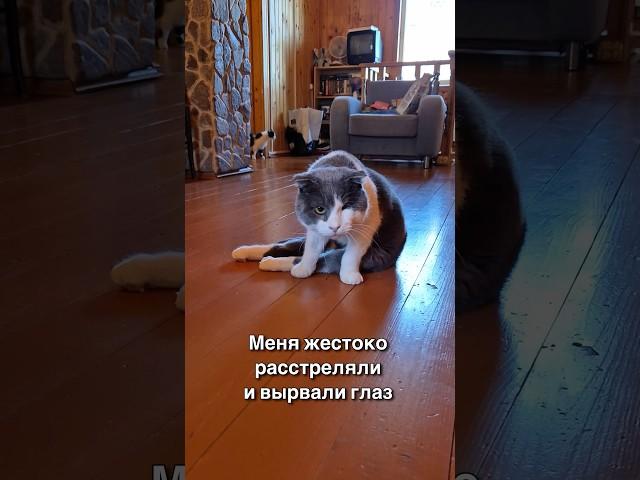Меня жестоко расстреляли и вырвали глаз 