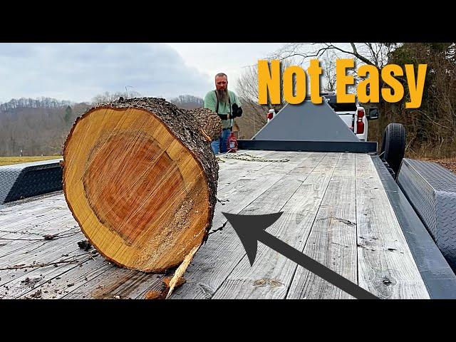 Harvesting Logs Without Heavy Equipment