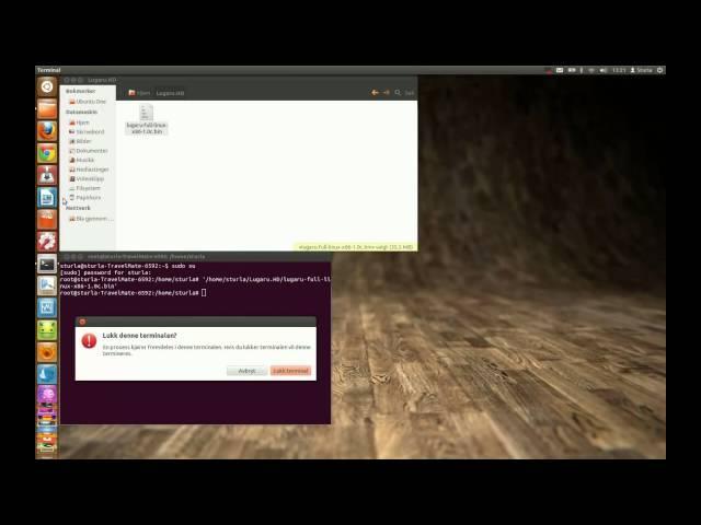 How to install .bin file in linux/ubuntu