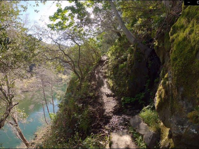 Robie Point Firebreak, Tamaroo Bar Trail, Contour Trail Loop in Auburn SRA