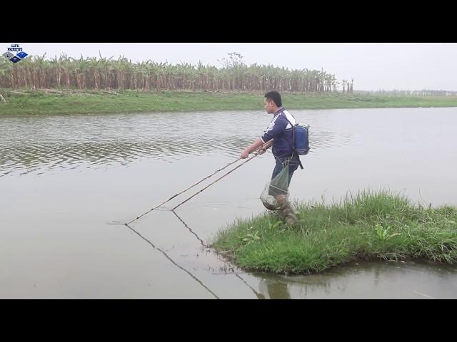 Primitive Life : Catching fish by electric battery harvest the giant fish