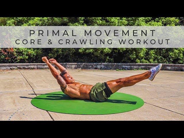 PRIMAL MOVEMENT FITNESS Core & Crawling Workout [Follow Along / No Equipment]