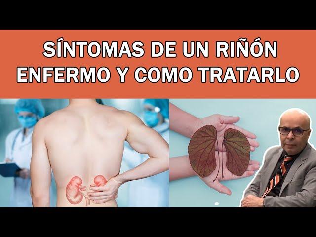 Síntomas de un riñón enfermo y como tratarlo