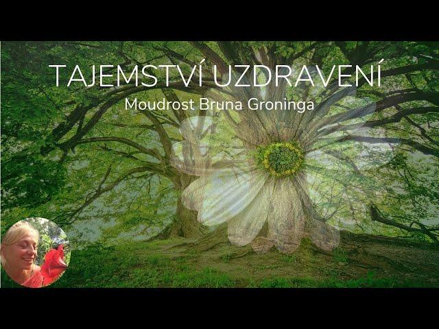 Moudrost Bruna Gröninga - Tajemství uzdravení