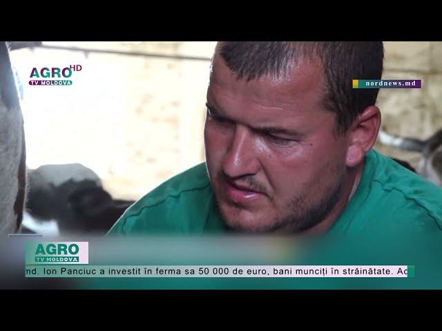 A investit un milion de lei într-o fermă, iar acum riscă să falimenteze – AGRO TV News