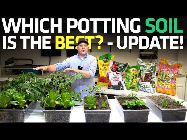 Which Potting Soil is Best? Collection 1 Post-fertilization Update!