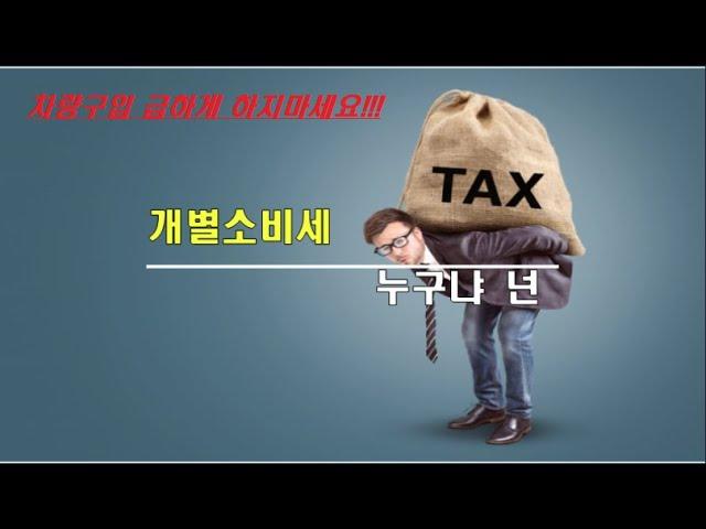 신차장기렌트 개별소비세 인하확정 / 개별소비세가 무엇인지 알려드립니다