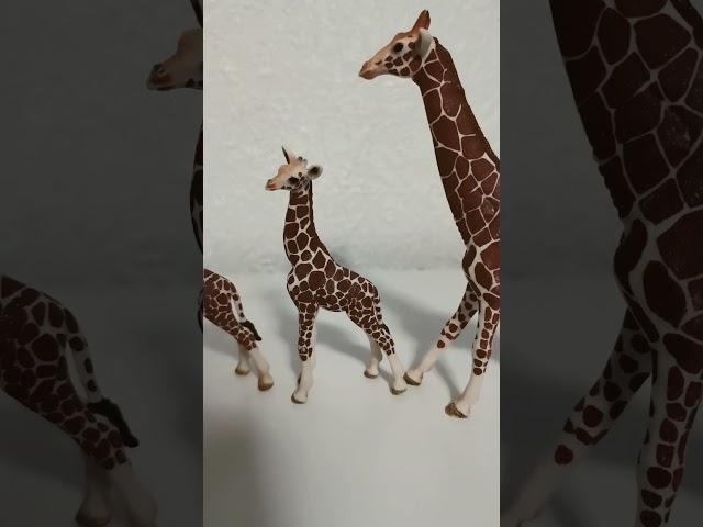 the giraffe family #oldies #coversong #singer #song #vintage #horse #equestrianjourney #animalsounds