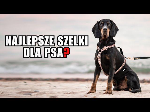 Jakie szelki dla psa i  dlaczego szelki GUARD to dobry wybór?