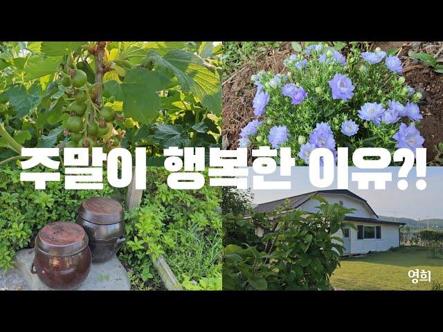 SUB) 주말이 행복한 이유?! | 시골집 | 주말농장 | 힐링 | vlog | Korean countryside life |