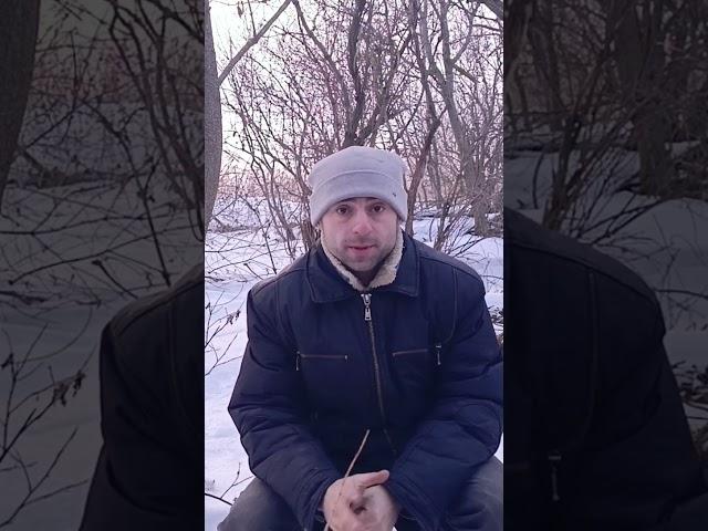 Выжить в лесу!найти дорогу домой.#shortvideo #против #шерсти
