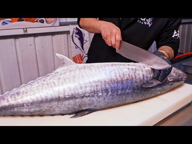 King Fish！Amazing Seer Fish Cutting Skills, Fried Fish Belly / 大魚進港！肥美土魠魚切割技能, 香煎土魠魚排, 炙燒握壽司/丸萬鮮魚行