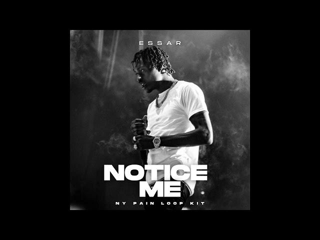 (FREE) Lil Tjay Loop Kit/ Sample Pack - "Notice Me" (Lil Tjay, Stunna Gambino, J.I, Lil Rekk, Pain)