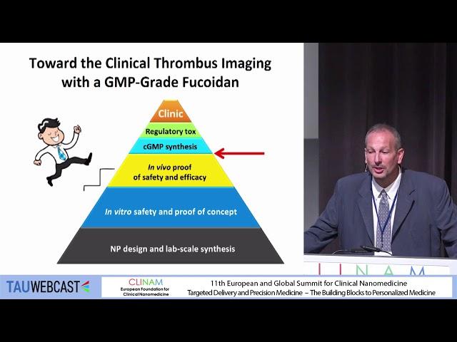 The European NanoAthero Project: From the Design to the Clinical Trials