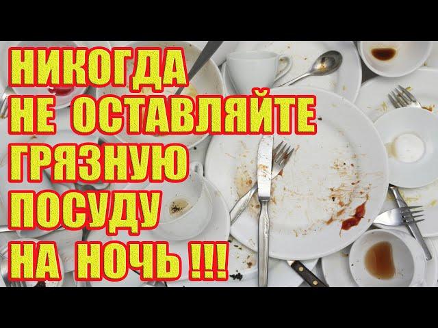 Почему Нельзя Оставлять Грязную Посуду на Ночь!?