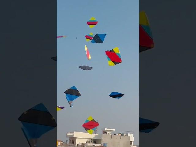 #kite  #kitemarket #art #kiteloverofficial #song #kitebrand #punjabi #up32kitelover #youtubeshorts