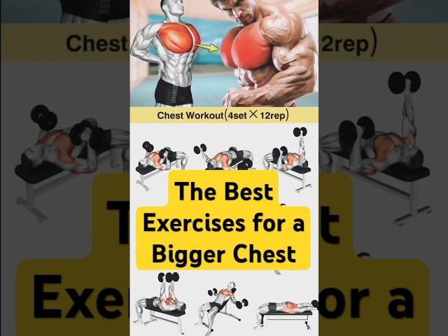 The Best Exercises for a Bigger Chest