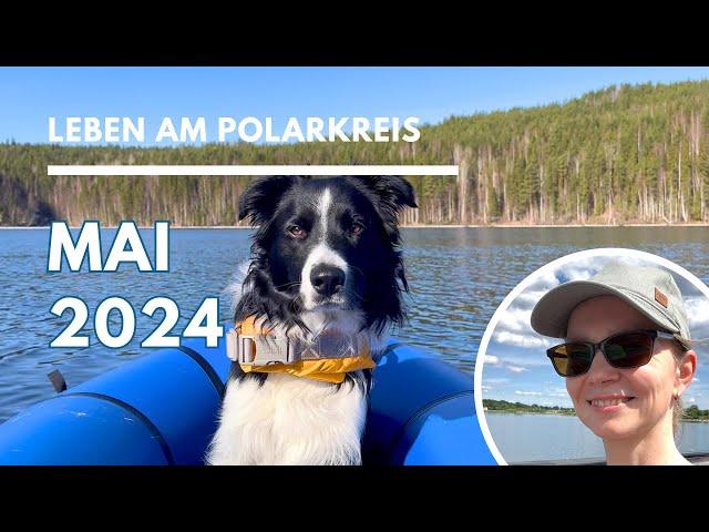 Mai 2024: Sommerwärme, Bauprojekt und ein neuer Hund