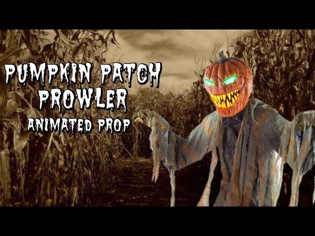 Pumpkin Patch Prowler Animated Prop | Spirit Halloween