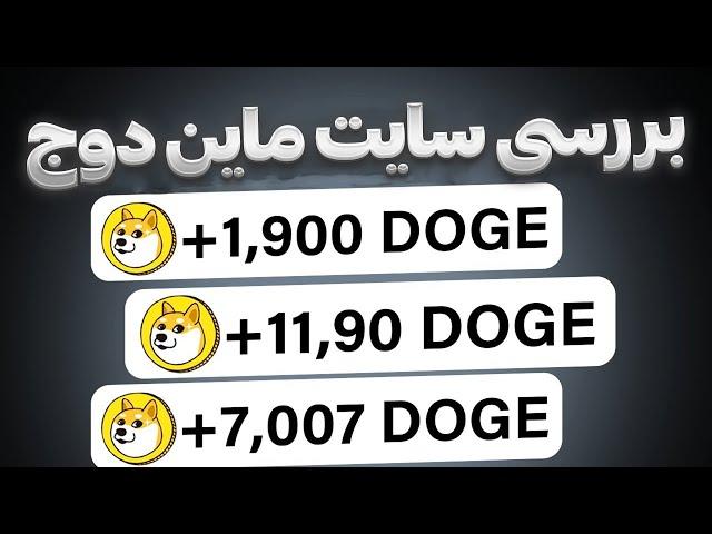 بررسی سایت Dogecoin-miner