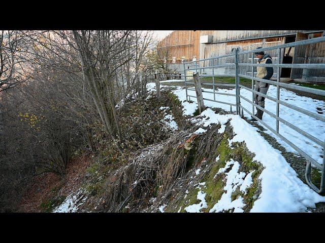 Un glissement de terrain menace l’étable d’une famille – soutenez la famille Caviezel de Surcuolm/GR