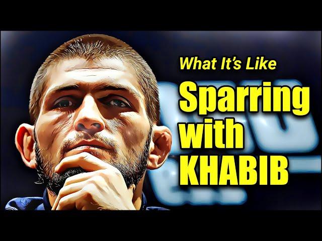 What It's Like Sparring With KHABIB NURMAGOMEDOV - MMA Fighters and Training Partners Speak