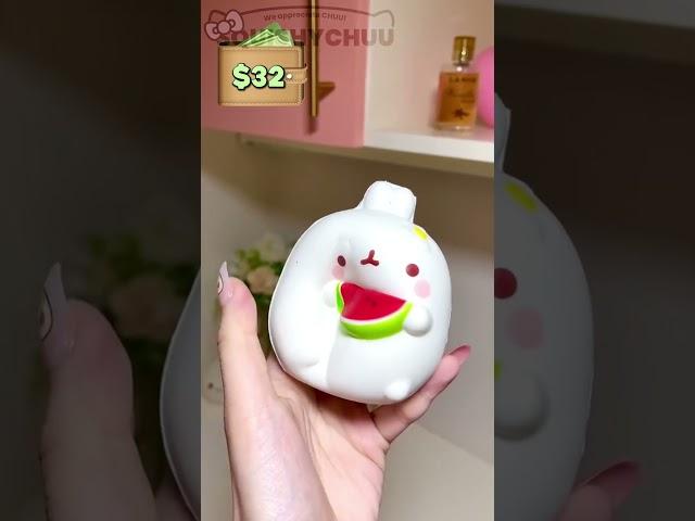 What squishies you can get for $50!  SQUISHYCHUU.COM