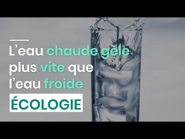 L’eau chaude gèle plus vite que l’eau froide