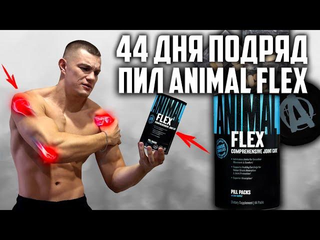 44 ДНЯ ПОДРЯД ПИЛ ANIMAL FLEX, ВОТ ЧТО ВЫШЛО!