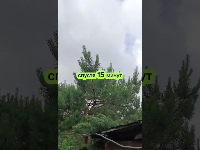 #садовод любитель ‍