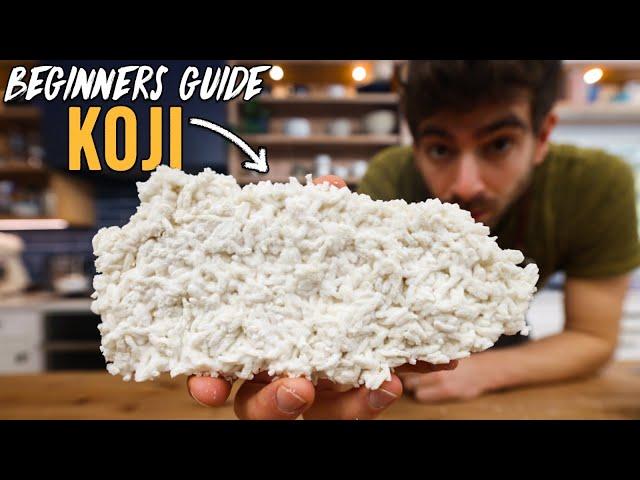 How to Make Rice Koji at Home (Plus Miso Making)