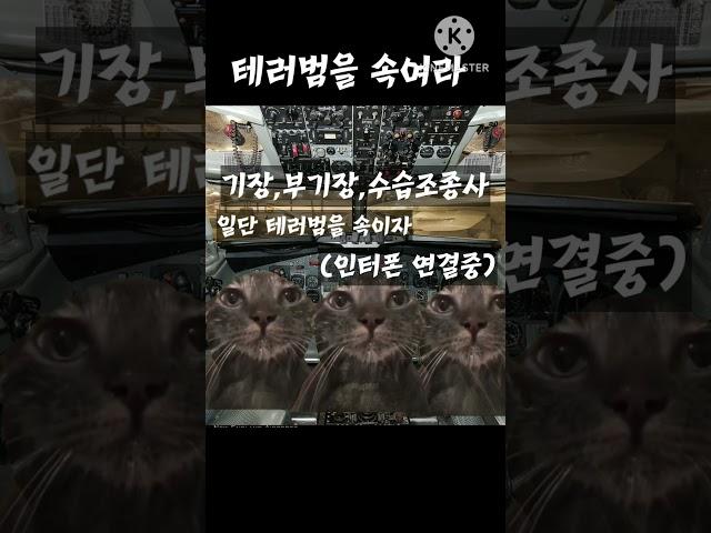 대한항공 F27기 납북 미수사건-고양이 밈