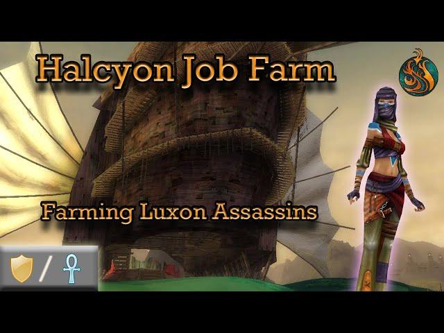 Halcyon Job, Luxon Assassin Farm - Guild Wars Warrior Farm W/Mo