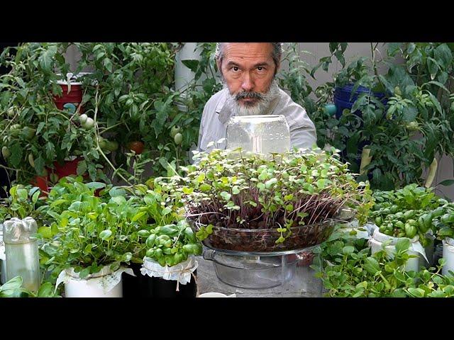 Easiest Way to Grow Food Several Times