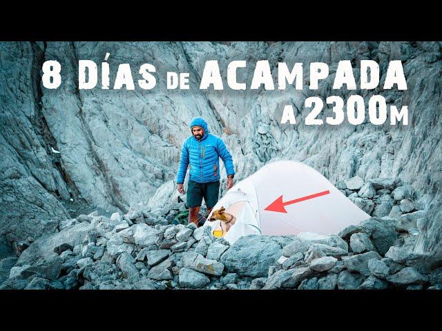 Acampada libre en ALTA MONTAÑA con perro - 8 DÍAS de travesía por el Anillo de PICOS DE EUROPA