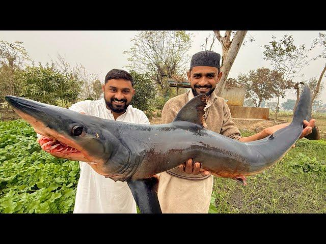 30 Pounds Big Shark | Huge Shark Cutting and Cooking | Finger  Fish Fry |  Bonless Fish Fry